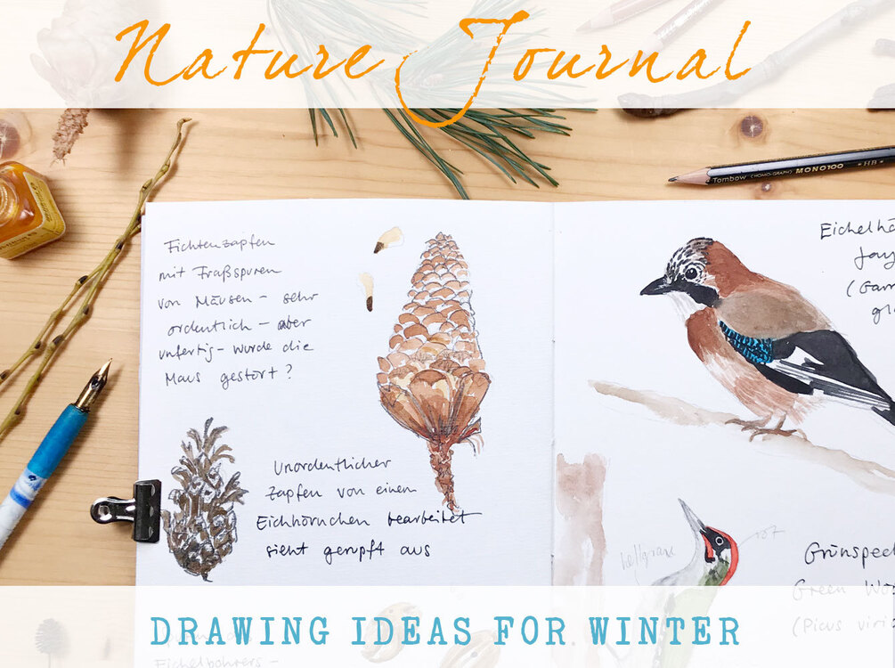 Nature Journal: Ideas For Drawing In Winter