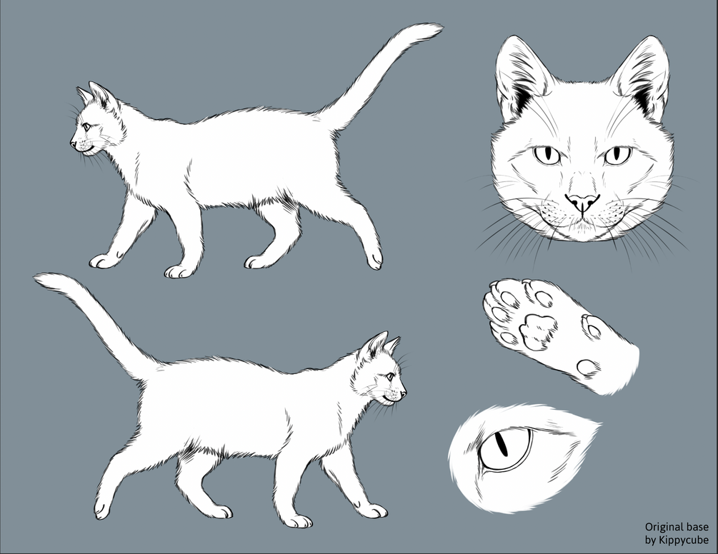 Cat Reference Sheet Base (feral)