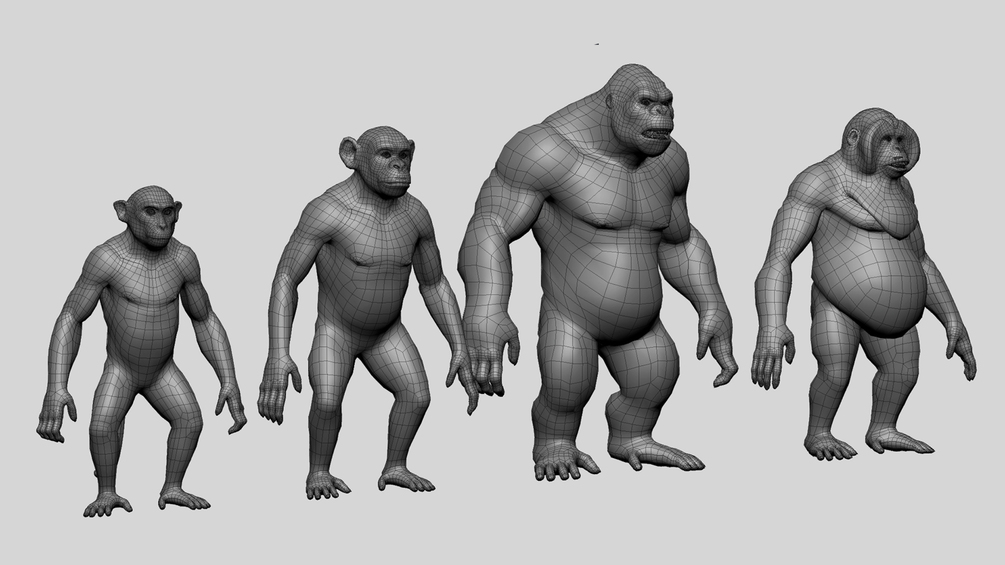 Primate Pack BaseMesh ( Monkey, Chimp, Gorilla, Orangutan ) - Topology ...