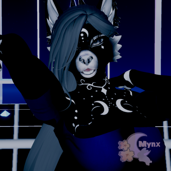 Midnight Silver ✧ Aurora