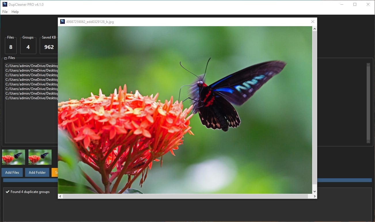 DupCleaner PRO image preview thumbnails for duplicate comparison