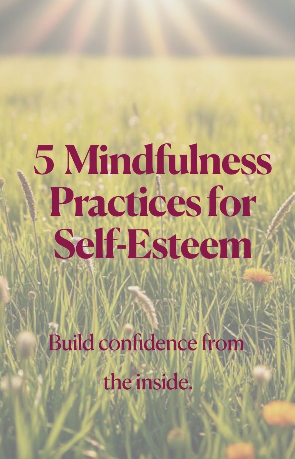 Preview of 5 Mindfulness Practices for Self-Esteem guide