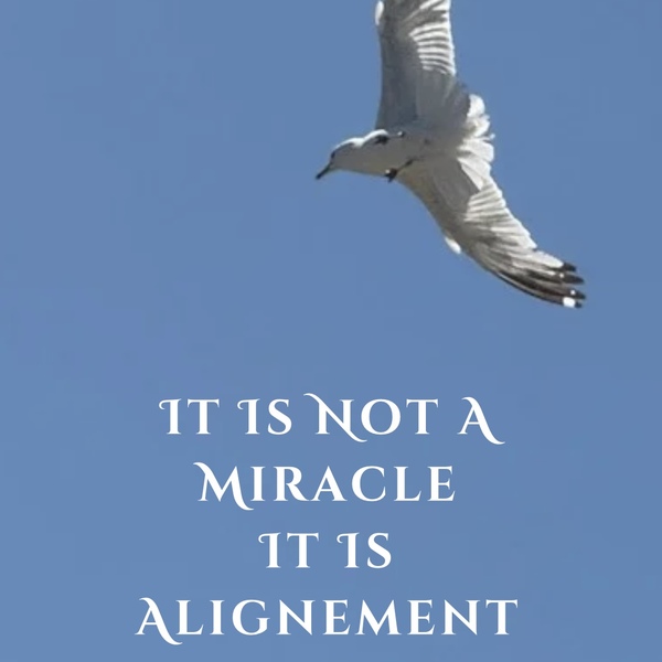 eBook Cover