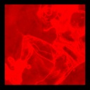 Gumroad profile picture for @squared