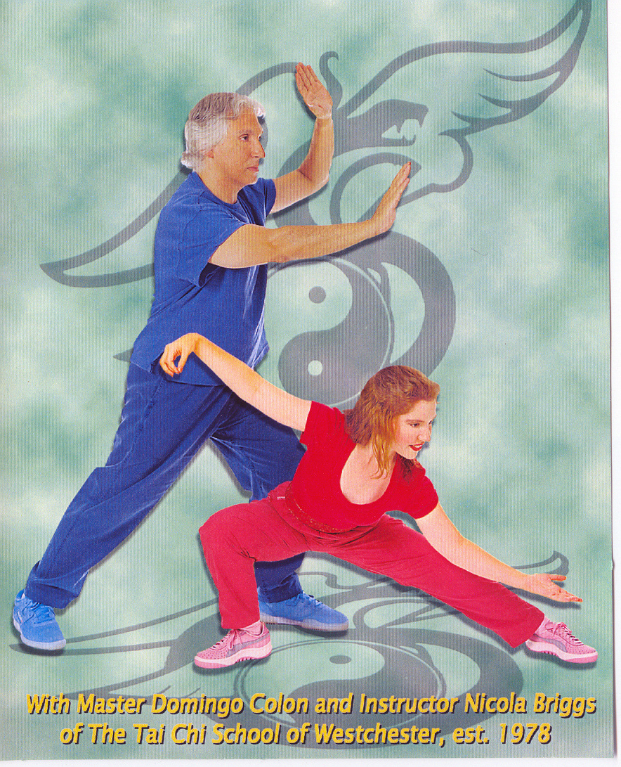 Tai Chi Yang Style Short Form Instructional Video 