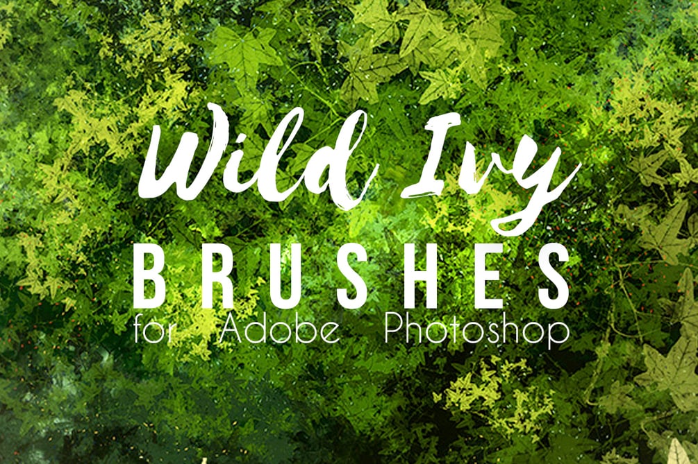 Ivy wild. Кисть плющ для фотошопа.