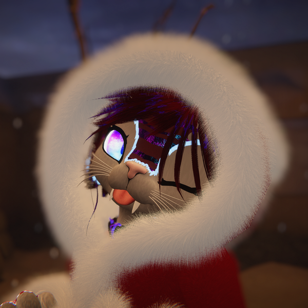 Fuzzy Winter Coat or Hoodie or Mesh top for the Arflin