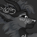 Gumroad profile picture for @fed