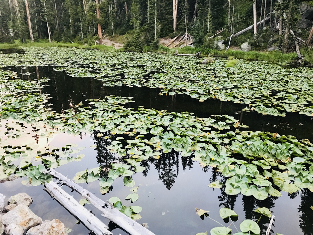 Guide to RV Travel in National Parks