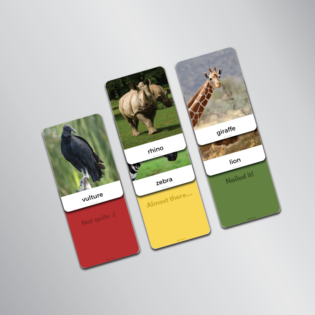 Animals in the Savanna Flashcards