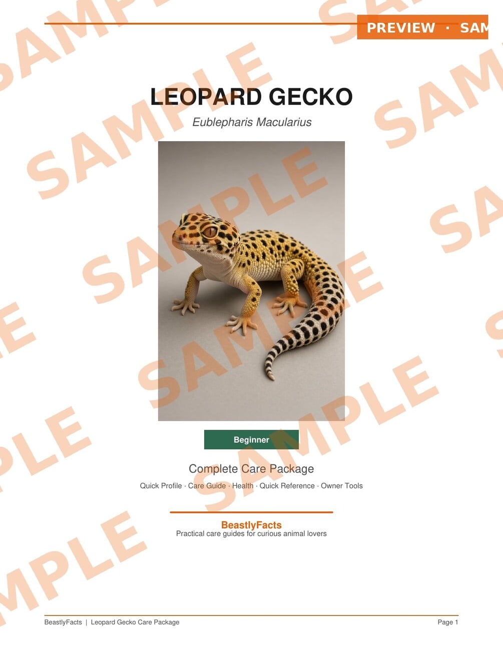 Leopard Gecko Care Package interior page sample