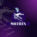 Gumroad profile picture for @matpro