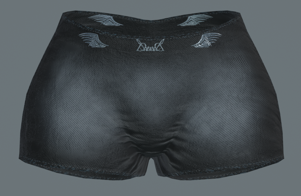 Underwear (For ZinFit Base)