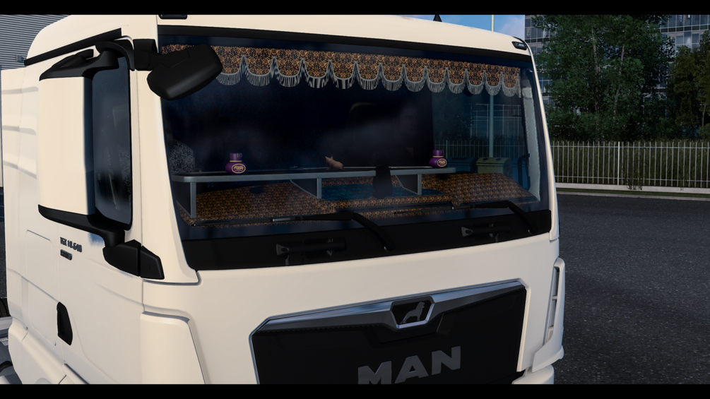 Man TGX 2020 with interior | 3D model