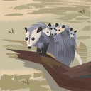 Gumroad profile picture for @sailed