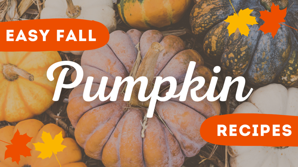 pumpkin-recipes-pdf-a-great-selection-of-delicious-easy-pumpkin