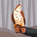 Gumroad profile picture for @recapture