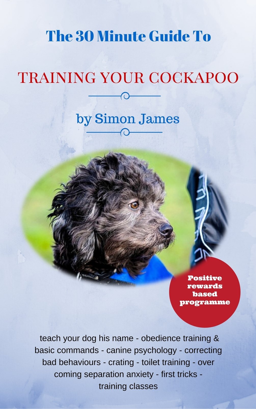 The 30 Minute Guide To Training Your Cockapoo