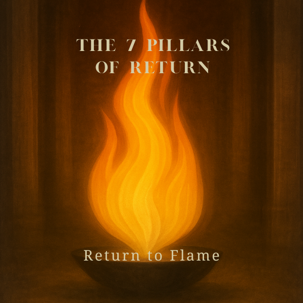 7 Pillars of Return