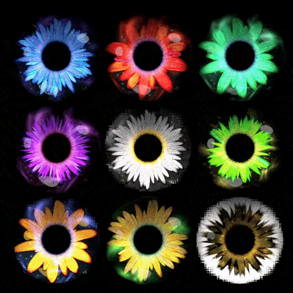 Flower Eye Shader [VRChat] 