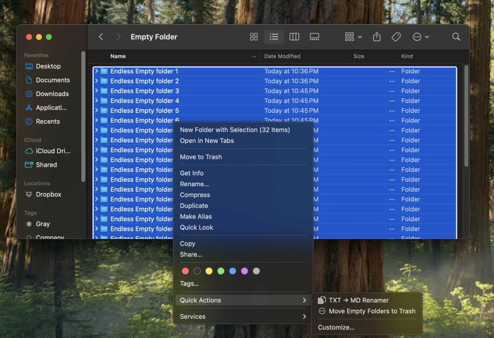 Preview of Move Empty Folders to Trash Quick Action