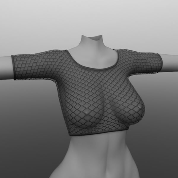 [Fishnet Top]