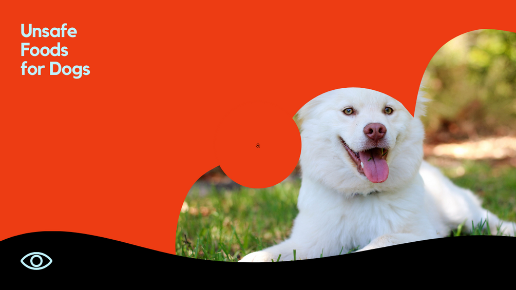Unsafe Foods for Dogs