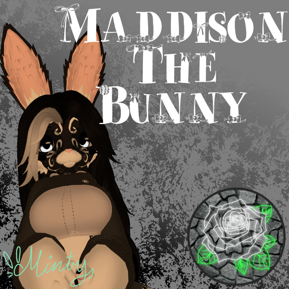 Madison The Bunny