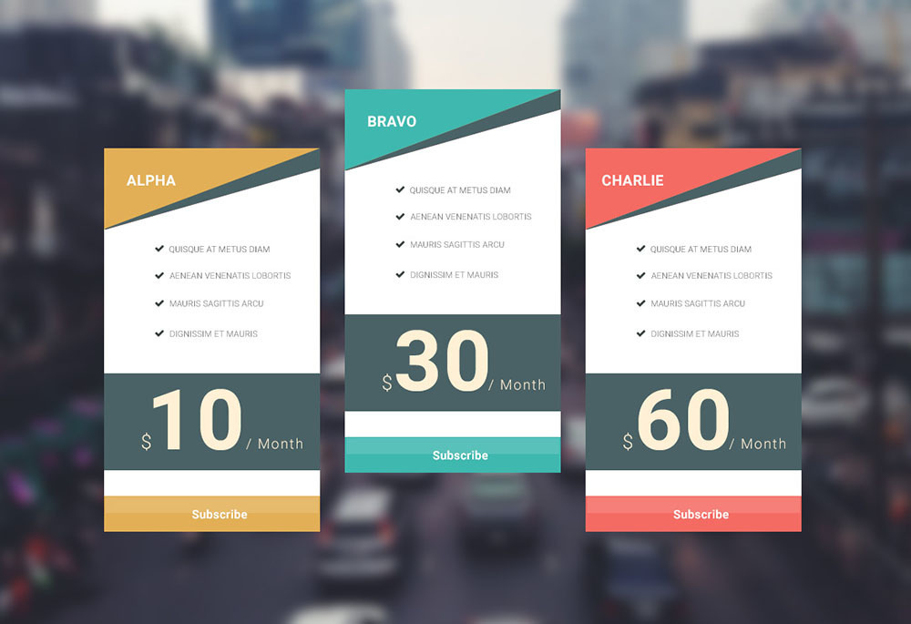 Pricing Card Design 29