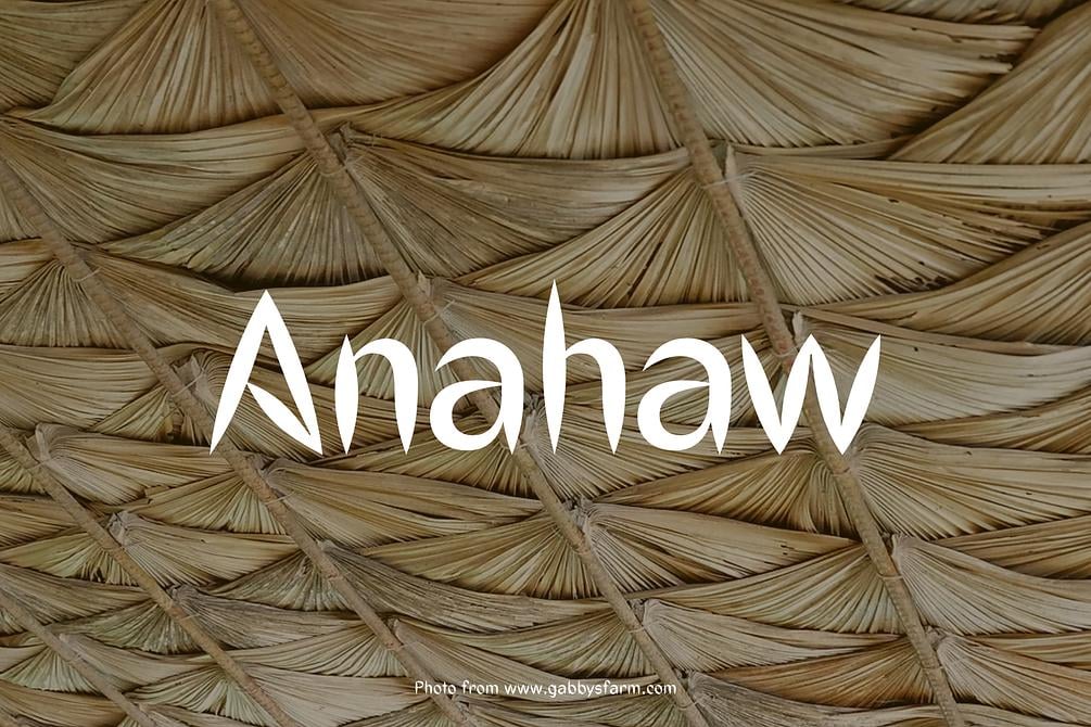 Anahaw