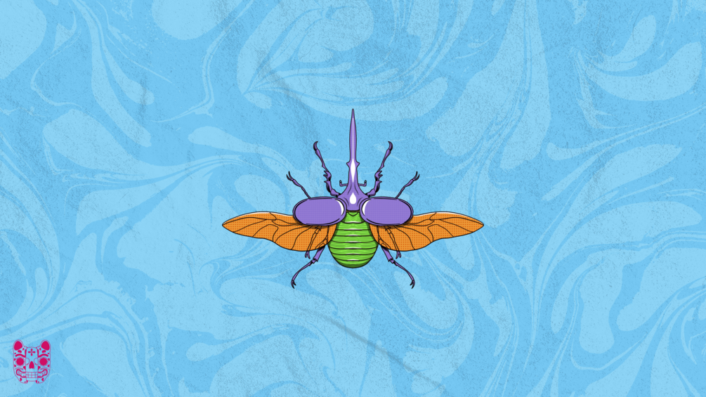 Wallpaper de Escarabajo