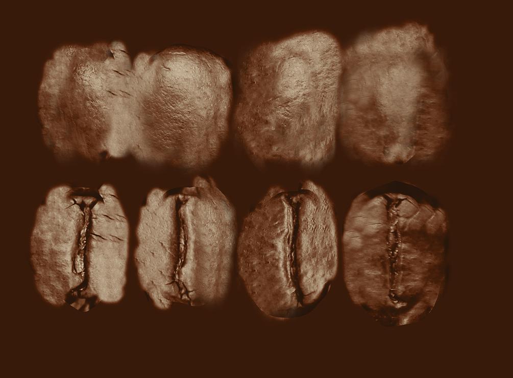 Rigid Beans Tutorial - Free Texture