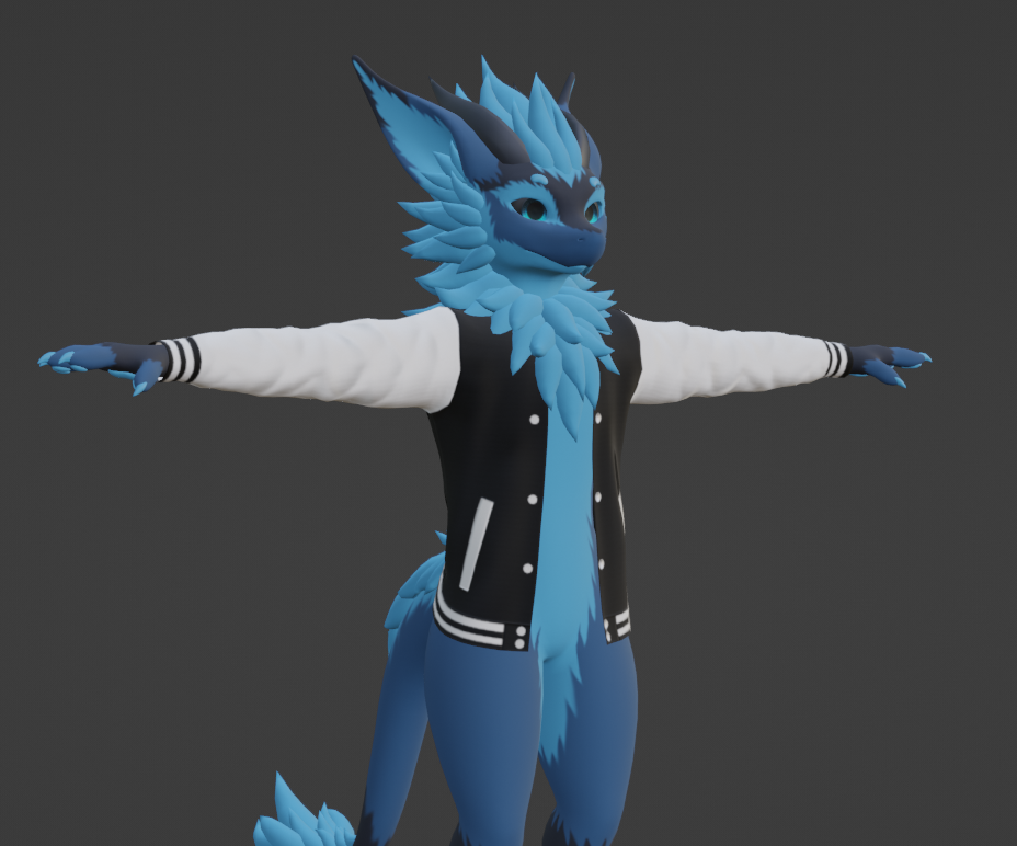 Varsity jacket for nardoragon