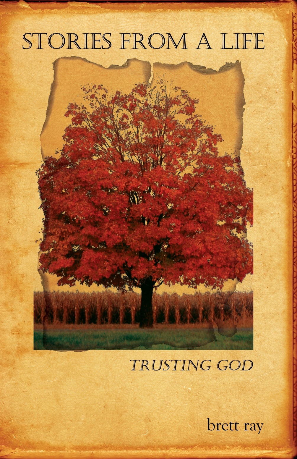 Stories From A Life eBook