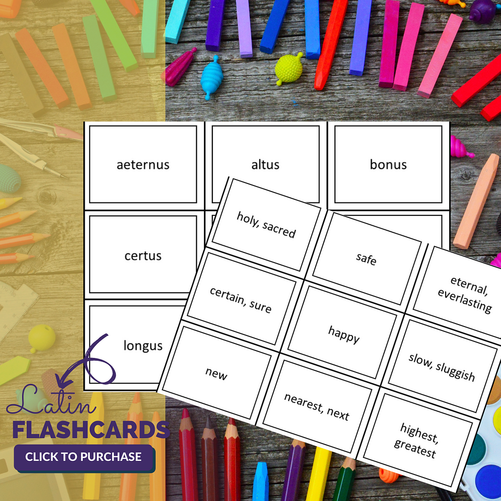 Latina Christiana Latin Flashcards