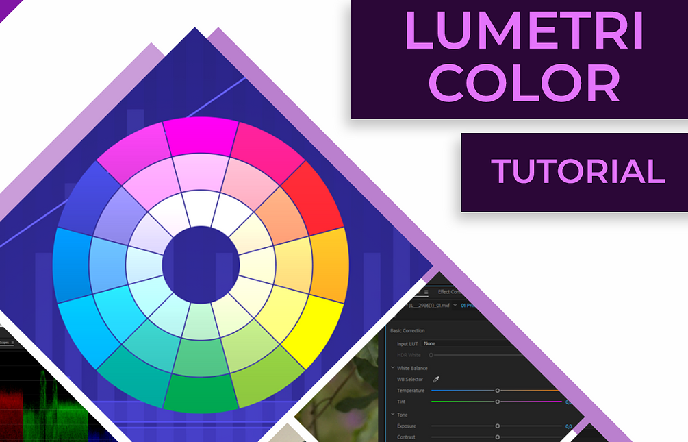 Lumetri Color Tutorial
