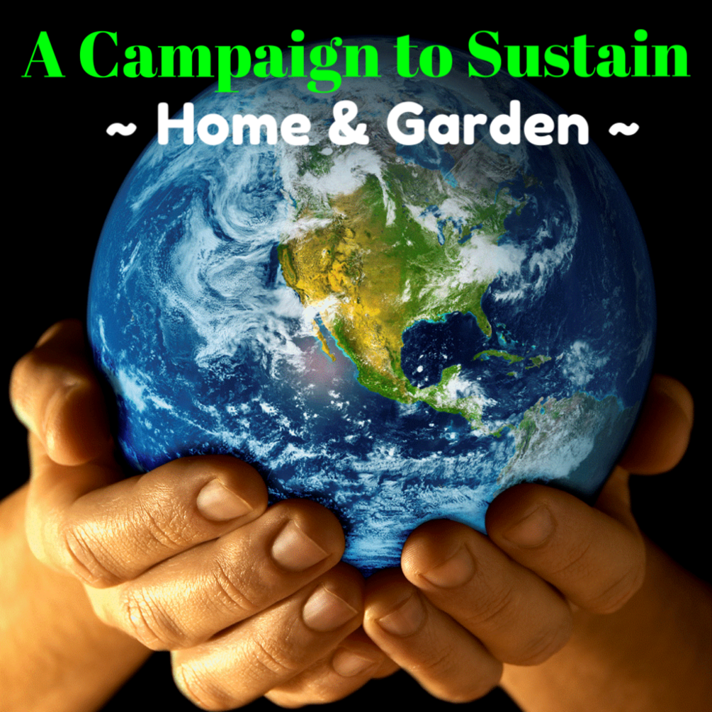A Campaign to Sustain Home and Garden Edition (EBook)
