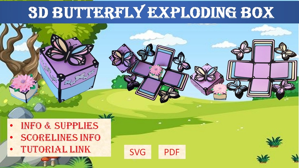 3D Butterfly Exploding Box