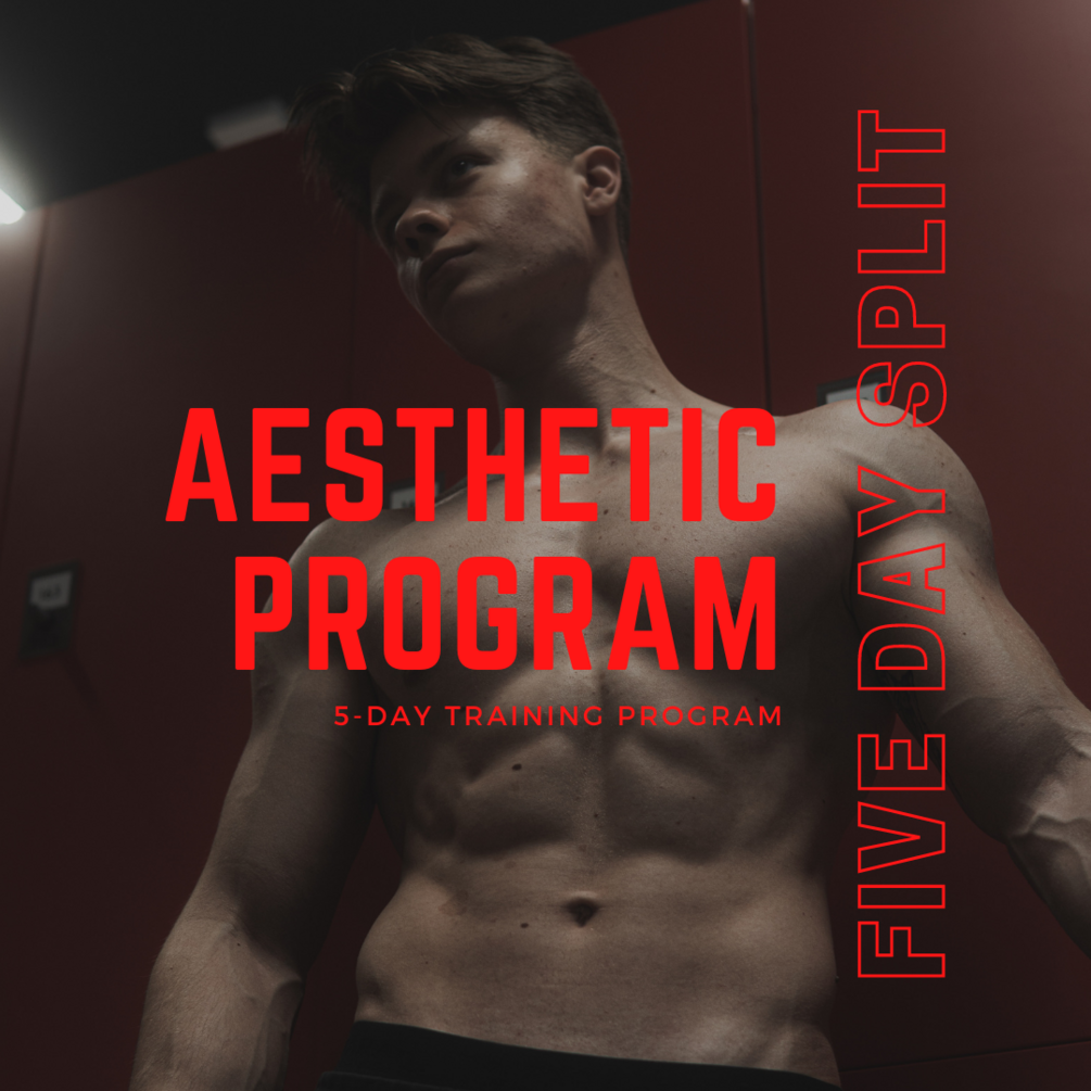 Aesthetic Program