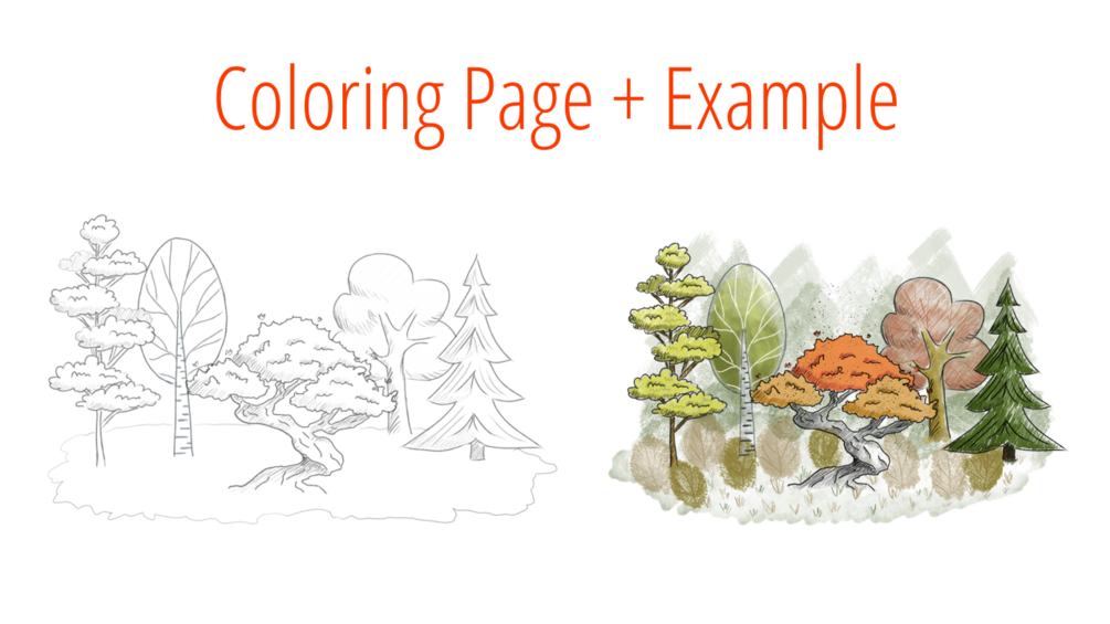 A Forest - coloring page with an inspiring example