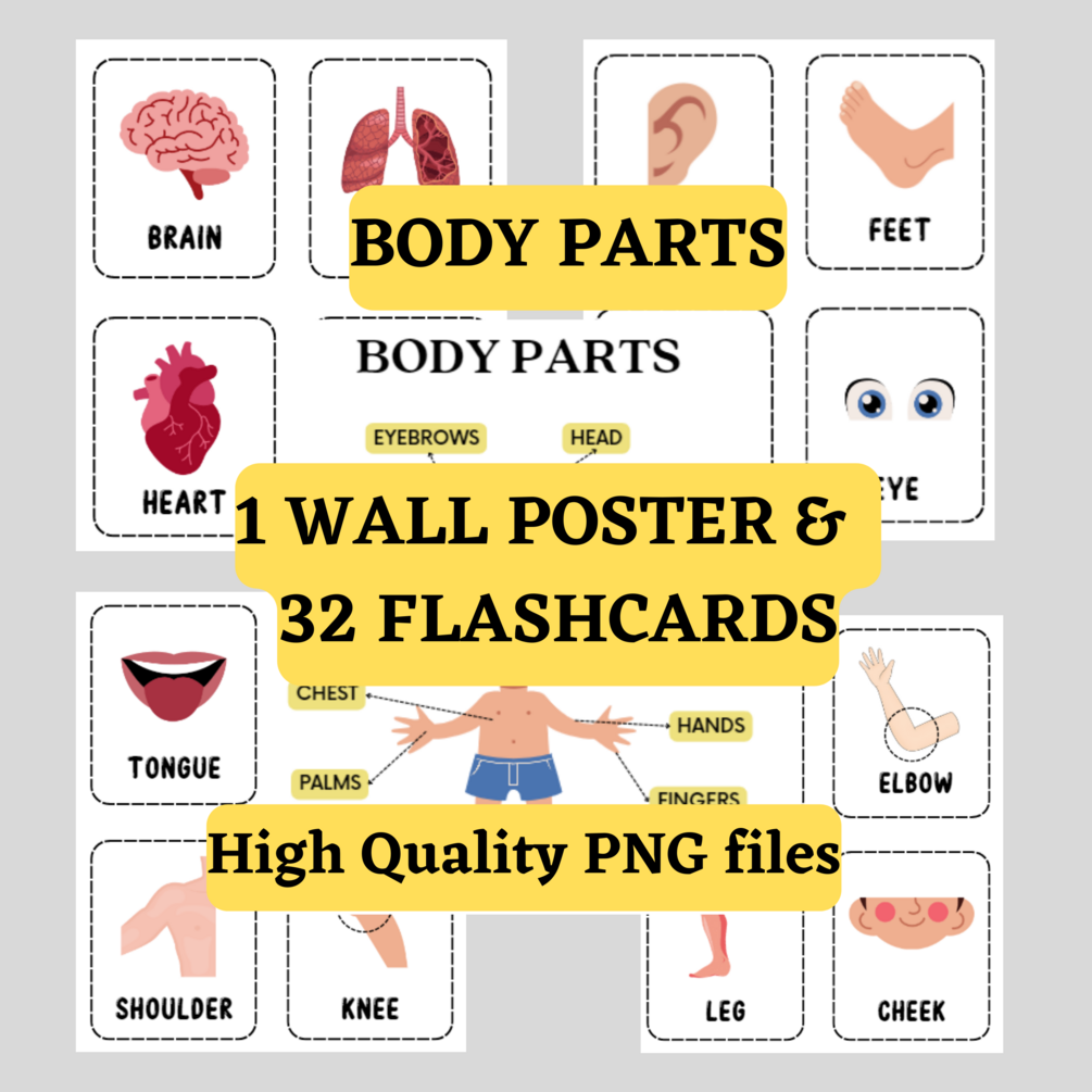 body-parts-learning-for-kids-1-wall-poster-32-flashcards-high