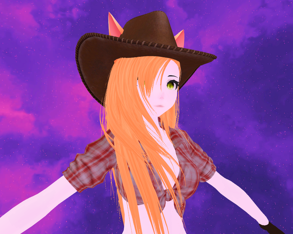 Cowgirl 3 0