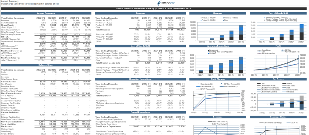 Custom financial model for your business