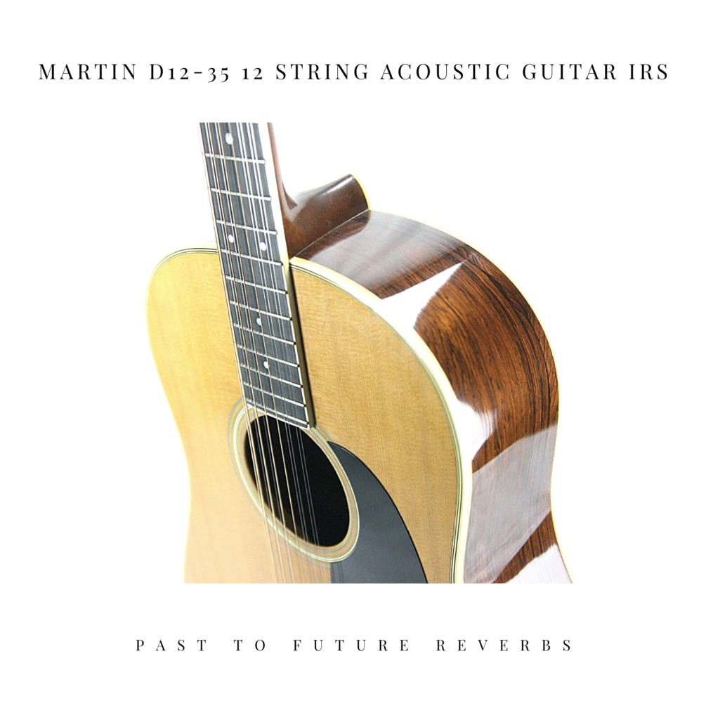 MARTIN D1235 12 STRING ACOUSTIC GUITAR IRS!