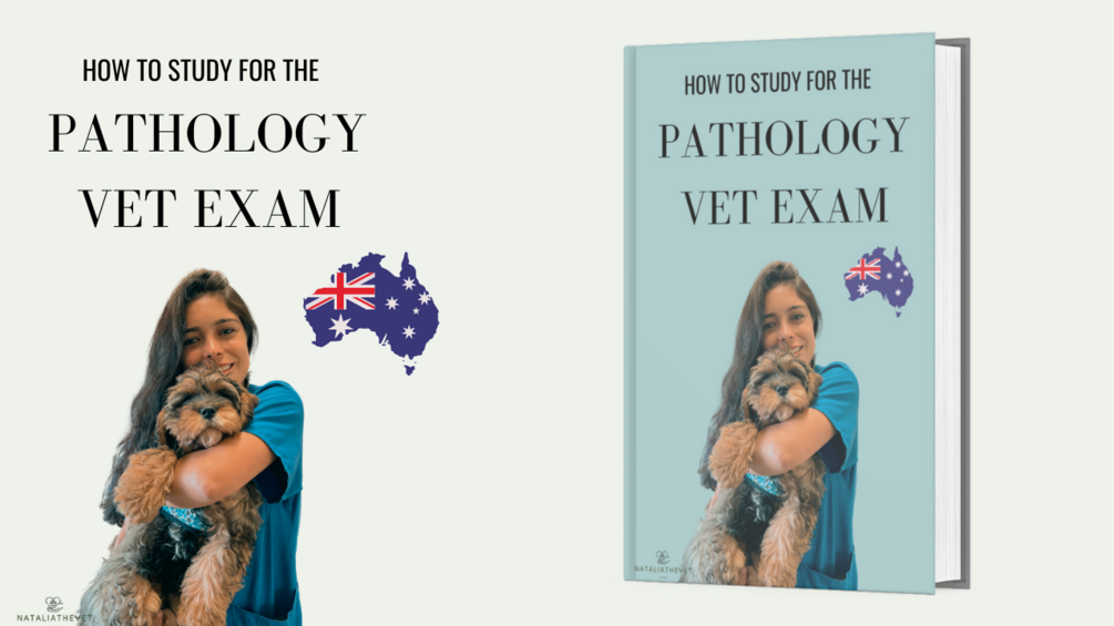 Study guide for the AVE pathology examination