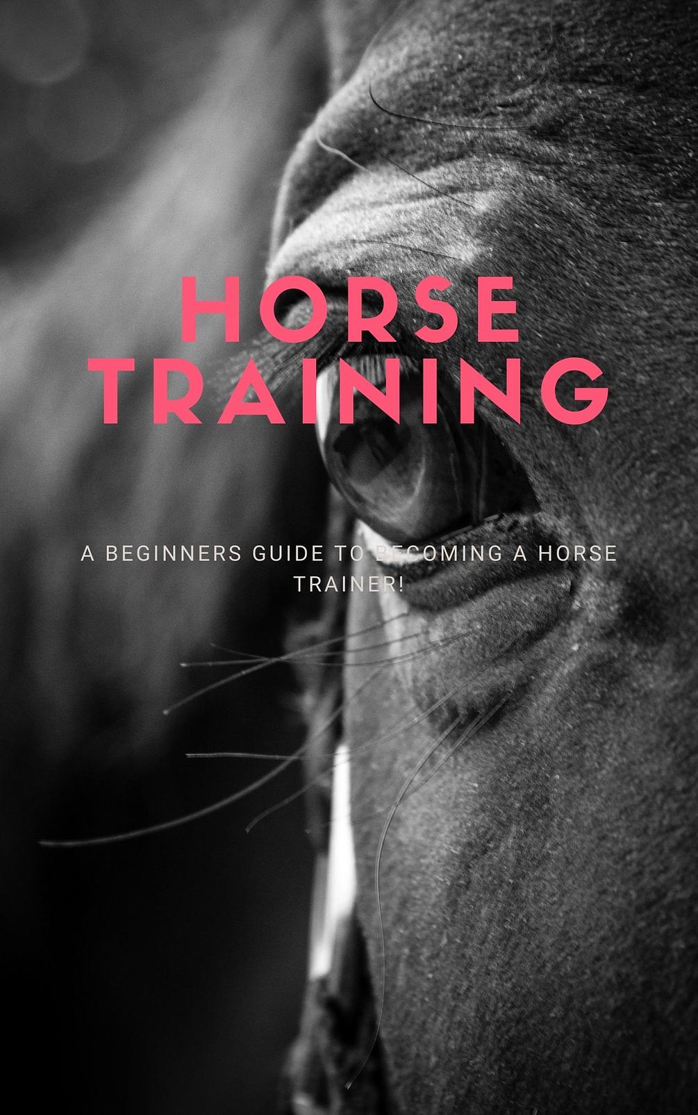 Beginners Guide to a Horse Trainer!