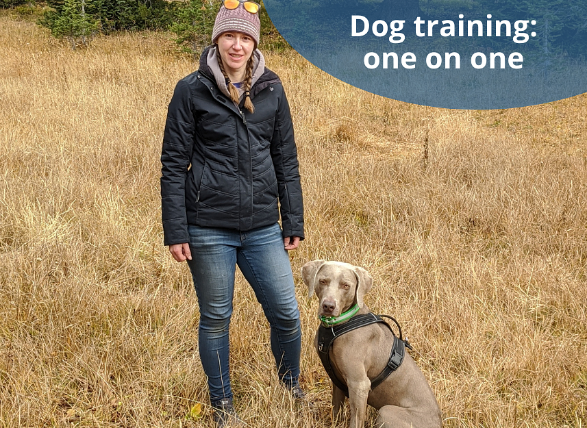 Dog Training OneonOne