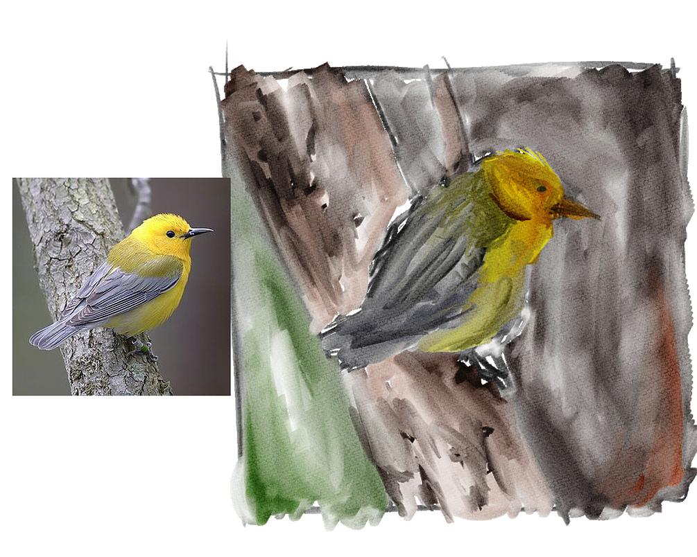 NAWC Watercolor Brushes for Clip Studio Paint