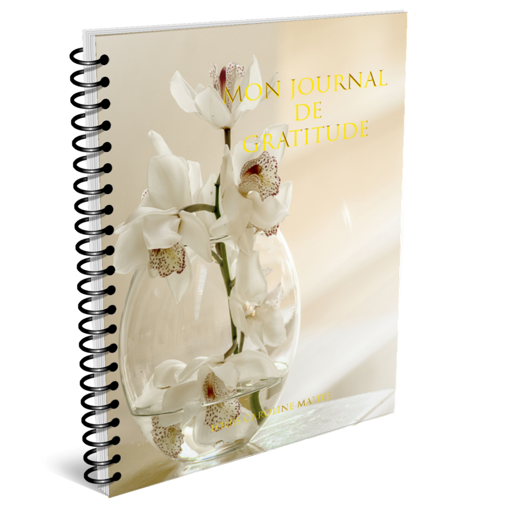 Nos Top 10 Des Journal De Gratitude En France - Décembre 2025