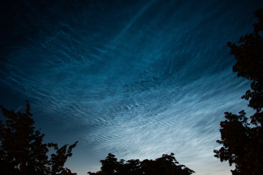 The 3650 Day Project - Printable Library